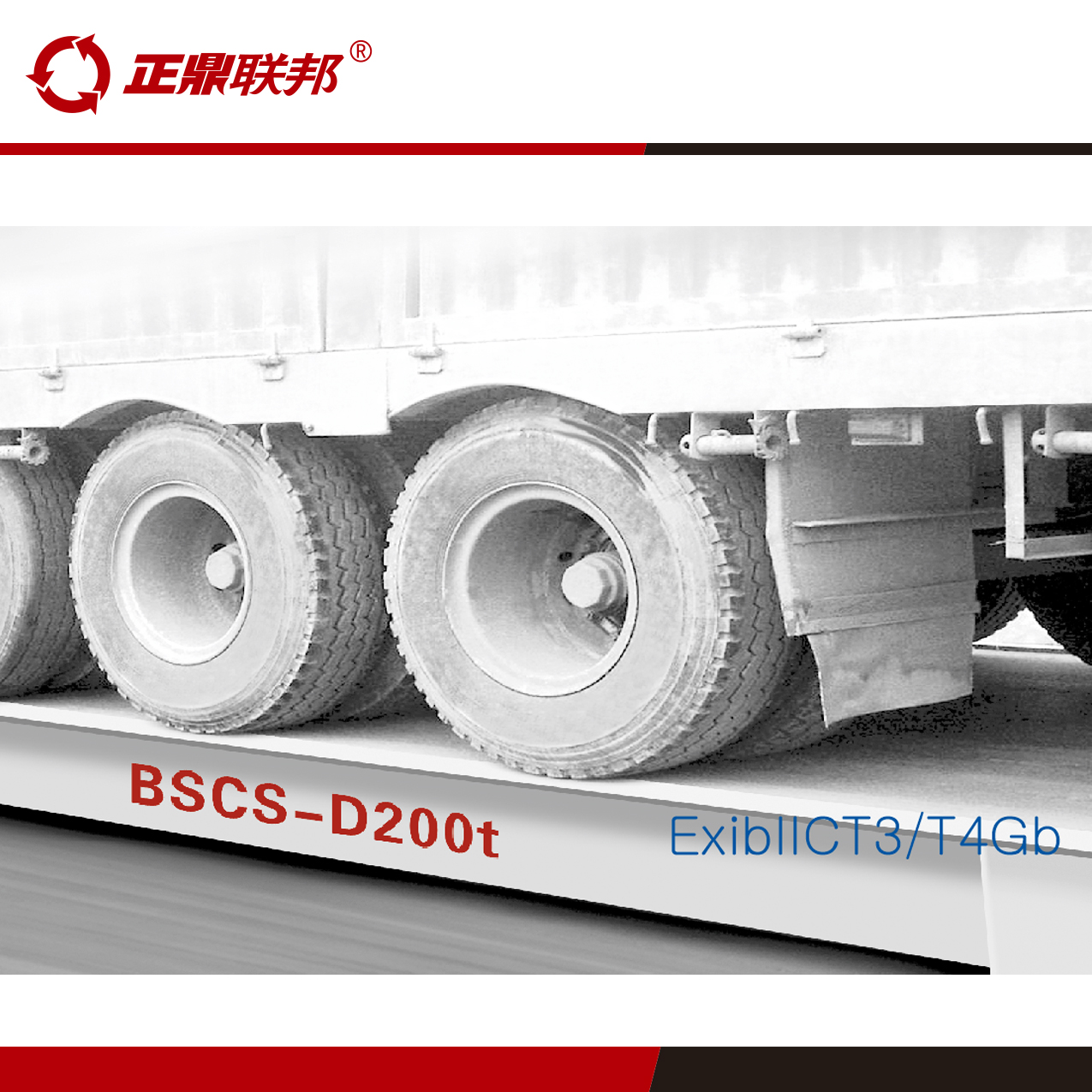 BSCS防爆電子稱重系統